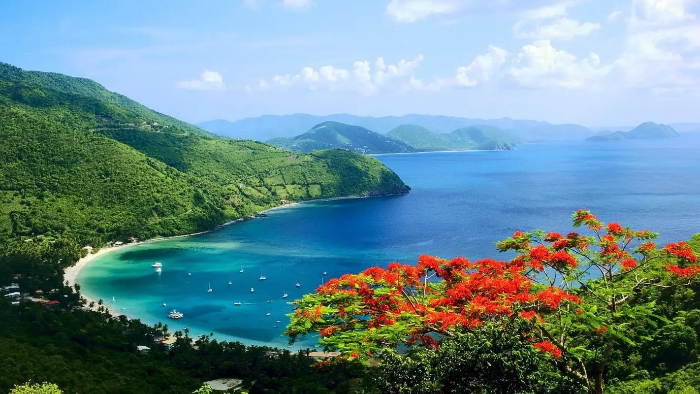 高效智能智能